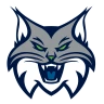 Minnesota Lynx Logo